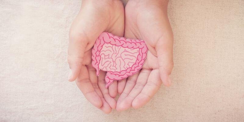 Miksi maitohappobakteeri on tärkeää vauvalle?