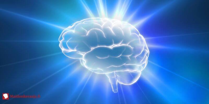 Aivojen plastisiteetti lapsuudessa – kehityksen avaintekijä